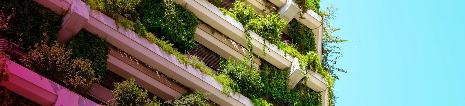 Sustainable Energy (SE)